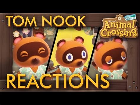 Tom Nook In Animal Crossing Appearance Behavior Roles