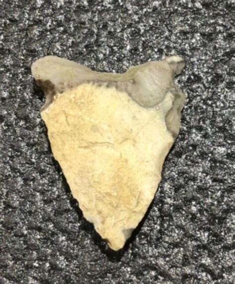 Single arrowhead | Live and Online Auctions on HiBid.com