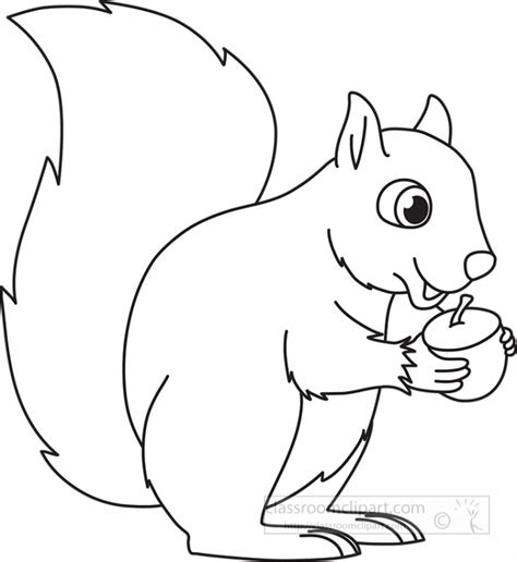 Clipart Squirrel Squirrels Clip Art Transparent Png X Clip