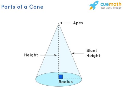 Base Area Of A Cone Definition Formula And Examples