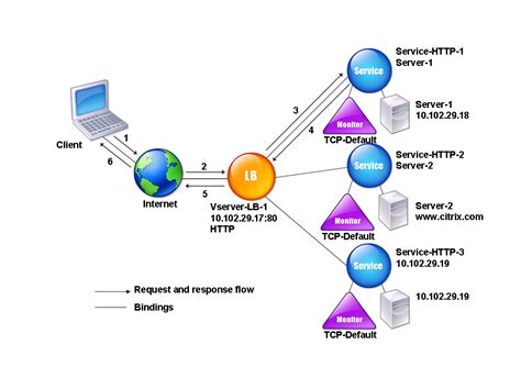 Load Balance Domain Name Based Services Citrix ADC 13 1