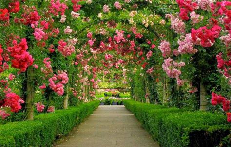 Pin By Ana Paula On Flores E Paisagem Beautiful Home Gardens Dream