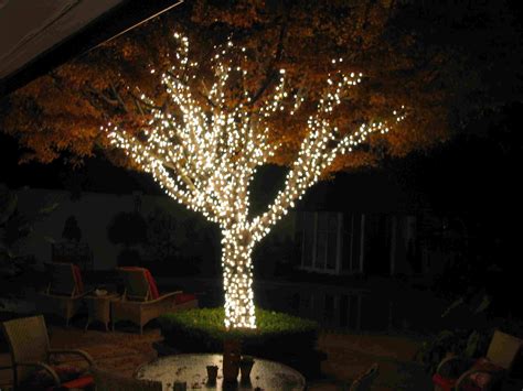 Free photo: Tree Lights - Abstract, Sparks, Resource - Free Download ...