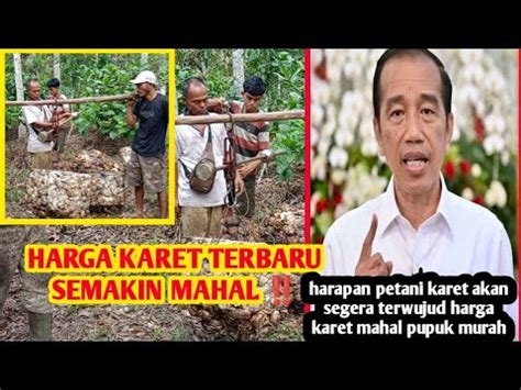 HARGA KARET TERBARU SEMAKIN MAHAL Petani Karet Kembali Bahagia YouTube