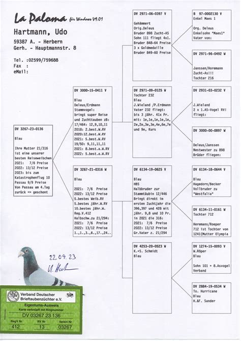 Brieftauben Auktion De 03267 23 136 Direkt Aus Top Reiseweibchen 21