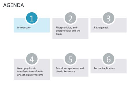 Antiphospholipid Syndrome And The Brain Neuropsychiatry Of Aps