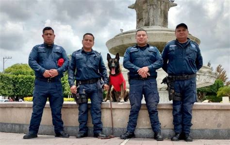 Policía Violeta fortalece acciones de prevención El Nuevo Gráfico de