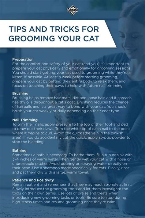 Cat Over Grooming Causes And Solutions Happy Pet Place Ultimate