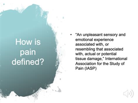 Somatosensory Pain Pathways Flashcards Quizlet