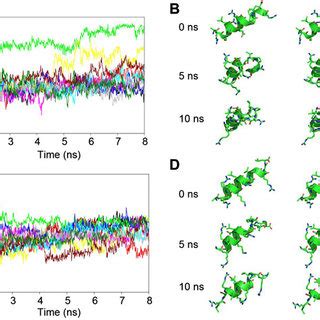 Molecular Dynamics Md Simulations Of Wild Type And Mutant Cbd