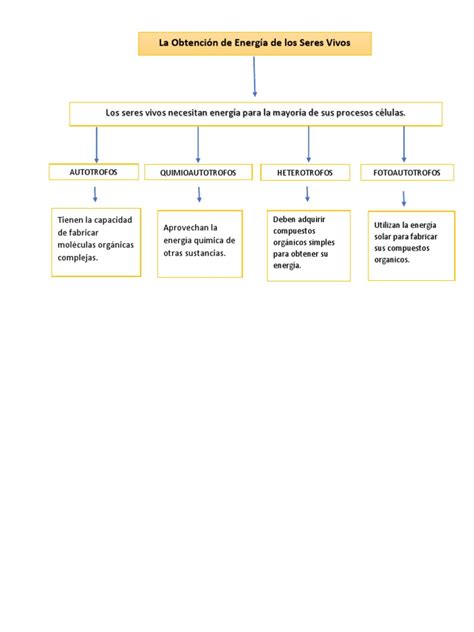 Mapa Conceptual Sobre La Obtencion De La Energia En Los Seres Vivos