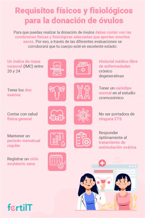 ¿cuáles Son Los Requisitos Para Donar óvulos