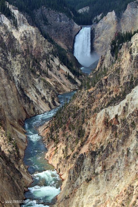 Grand Canyon of the Yellowstone - Yellowstone National Park - Lovebugs and Postcards