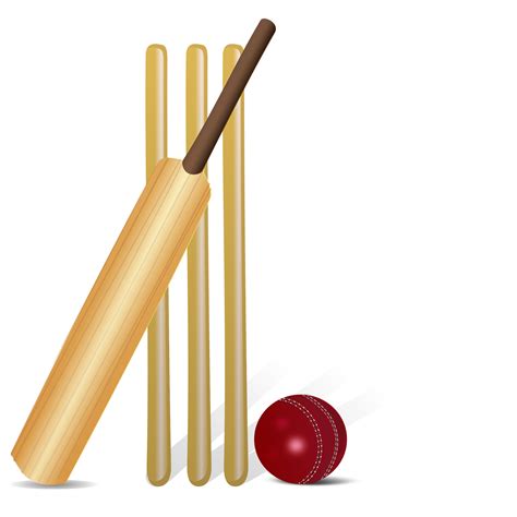 Clipart - Cricket