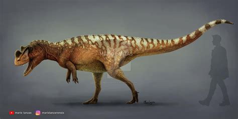 Ceratosaurus Ce·rat·o·saur·us Meaning Horned Lizard Was A Medium