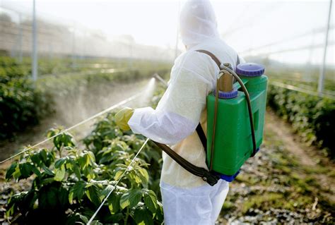 Off-target pesticide service douses neighboring properties, people | Salon.com