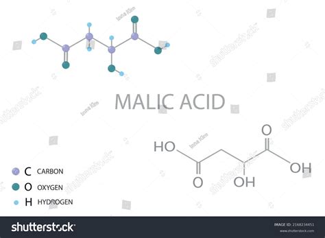 Malic Acid Molecular Skeletal 3d Chemical Stock Vector Royalty Free