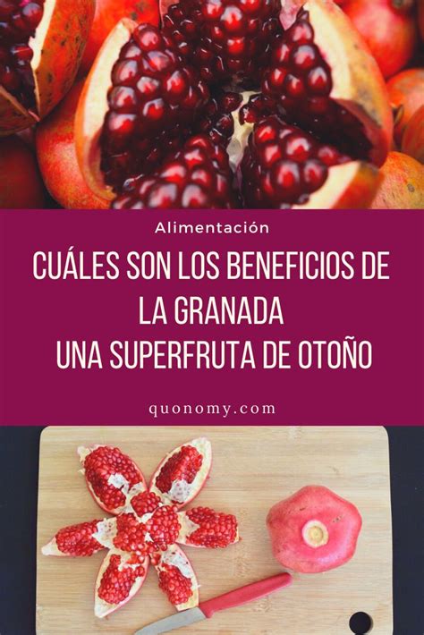 Cu Les Son Los Beneficios De La Granada Una Superfruta De Oto O