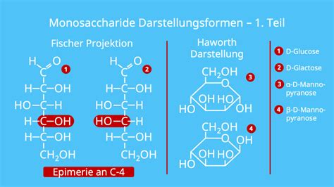 Monosaccharide Aufbau Beispiele Mit Video