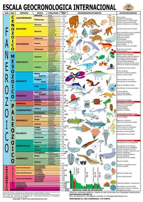 Eras Geologicas Em Era Geologica Mapas Mentais Estudos Para O Enem