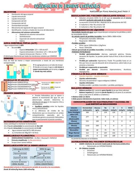 Distribuci N De L Quidos Corporales Janel Paola Flores Ram Rez Udocz