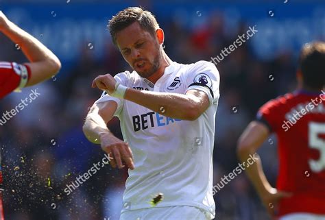 Gylfi Sigurdsson Swansea City Shows Look Editorial Stock Photo Stock