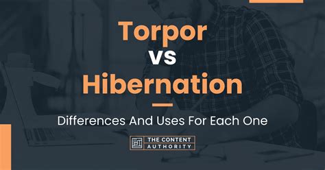 Torpor vs Hibernation: Differences And Uses For Each One