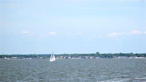 Long Island Hike: Sunken Forest | Julie Journeys