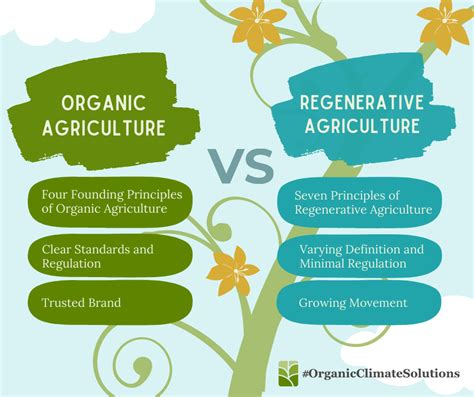 Whats The Difference Between Organic And Regenerative Agriculture Or