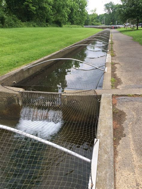 Fish Hatcheries In Pa