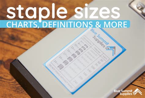 Staple Sizes: Charts, Definitions, and More for All Types of Staples