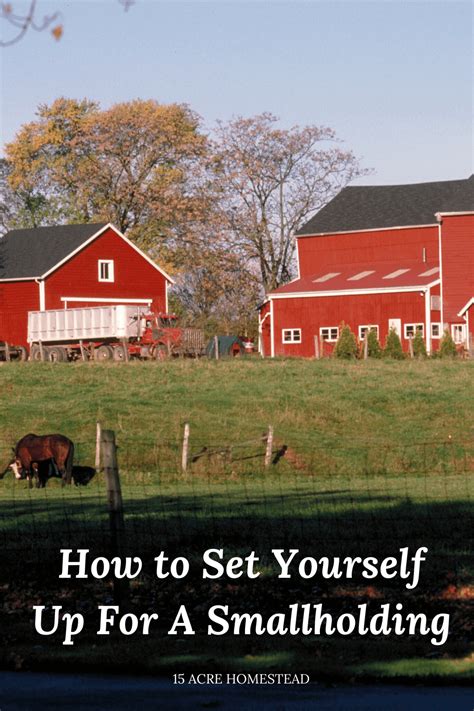 Have you ever considered running a smallholding? This post explains ...