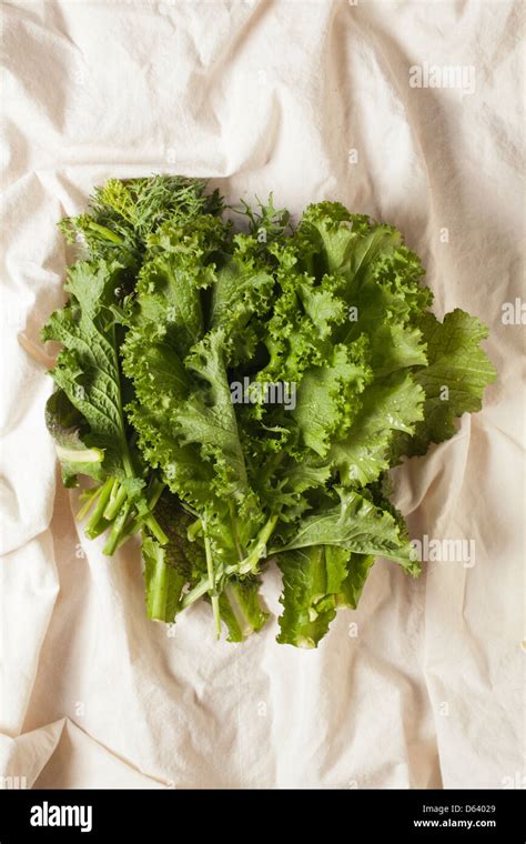 Mustard Greens Hi Res Stock Photography And Images Alamy