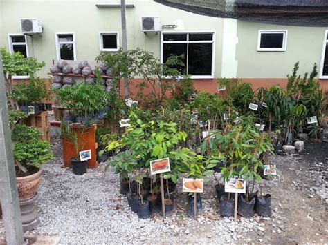 Pembukaan Rasmi Nursery Kota Di Penaga