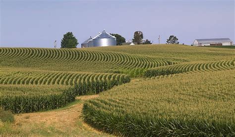 Where Is The Corn Belt? Corn Belt States - WorldAtlas.com