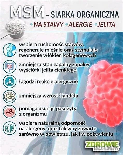 MSM - Siarka Organiczna. Na co działa?