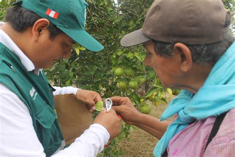 Piura MINAGRI productores y autoridades articularán acciones para