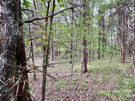 Access Lancaster County South Carolina Jails Booking and Arrest Information 7