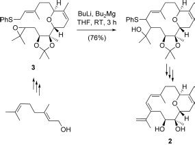 Scheme Deprotonation Of The Functionalized Arenes And