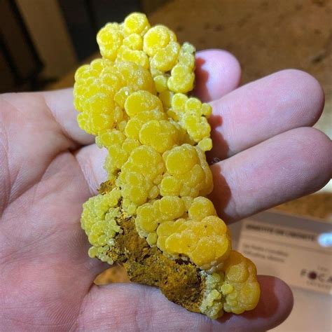 Pin By Pat Sullivan On Rocks Minerals Crystals Food Edible