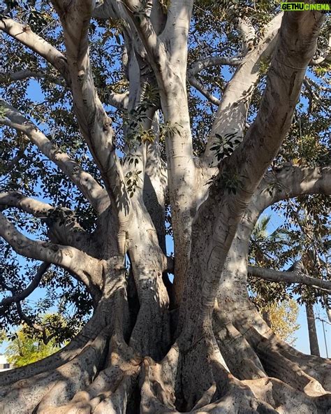 Brooke Langton Wiki, Biography, Age, Gallery, Spouse and more