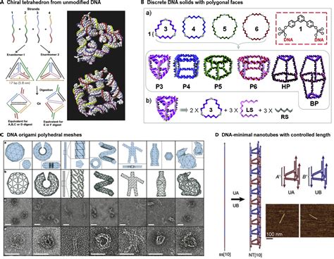 Dna Nanostructures At The Interface With Biology Chem