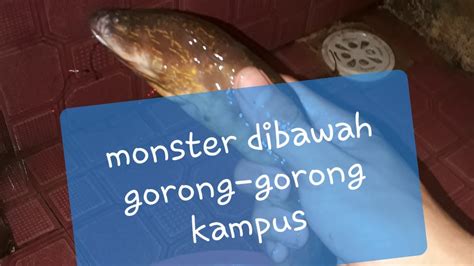 Gak Nyangka Ada Monster Di Bawah Gorong Gorong Kampus YouTube