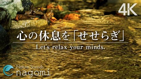 【自然音asmr】癒しのせせらぎ｜自然音と紅葉で金色に煌めく水面でリラックス・睡眠｜自然の音・nature Sounds Youtube