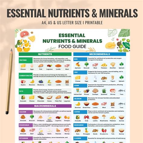 Nutrition Essential Guide Cheat Sheet
