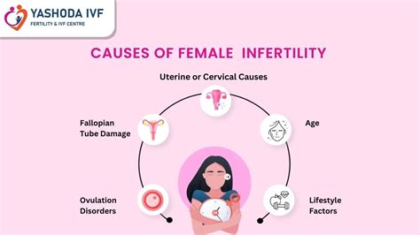 Infertility Problems In Females Causes Symptoms And Treatment Options