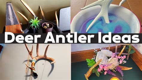 DIY Antler Crafts | Home Decorating with Deer Antlers - YouTube