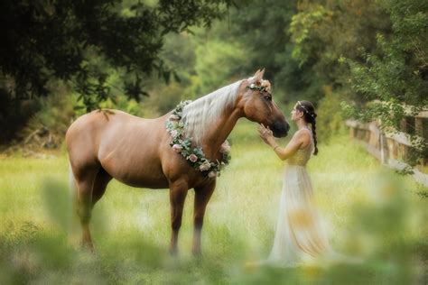 Just the Right Place! — Fast Horse Photography - St. Augustine, Florida