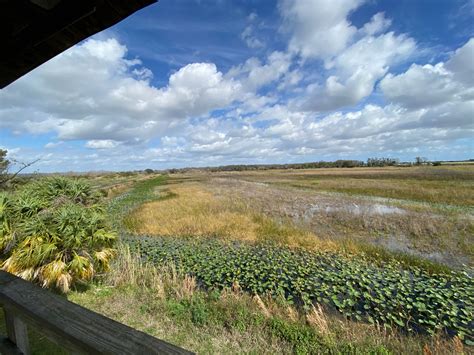 Visiting Arthur R. Marshall Loxahatchee National Wildlife Refuge