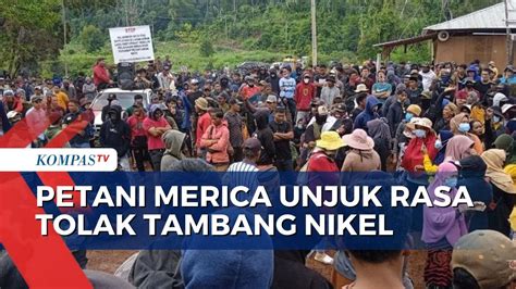 Anggota Brimob Ancam Bakar Mobil Petani Merica Yang Tolak Tambang Nikel